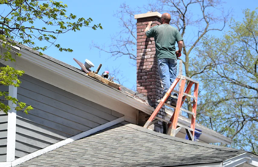 Chimney & Fireplace Inspections Services in Paris, TX
